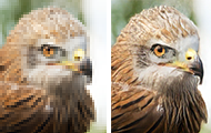 {EnhanceNet}: Single Image Super-Resolution through Automated Texture Synthesis