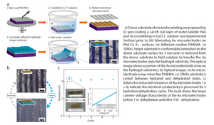 Transfer Printing of Metallic Microstructures on Adhesion-Promoting Hydrogel Substrates