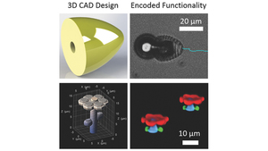 3D chemical patterning of micromaterials for encoded functionality