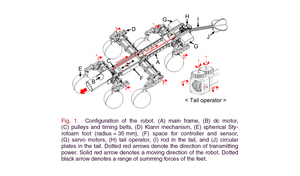 Tail-Assisted Mobility and Stability Enhancement in Yaw/Pitch Motions of a Water-Running Robot
