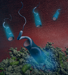 Magnetotactic bacteria powered biohybrids target e. coli biofilms