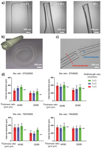 Self‐folded hydrogel tubes for implantable muscular tissue scaffolds