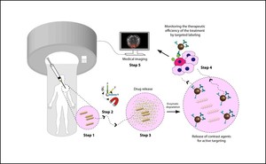 3D-Printed Biodegradable Microswimmer for Drug Delivery and Targeted Cell Labeling
