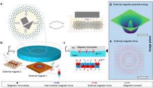 Controlling two-dimensional collective formation and cooperative behavior of magnetic microrobot swarms