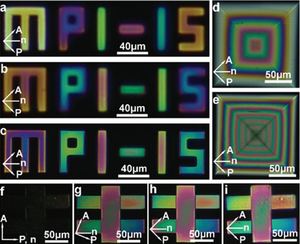 Microscale polarization color pixels from liquid crystal elastomers