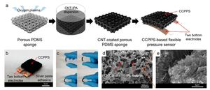 Wearable, ultrawide-range, and bending-insensitive pressure sensor based on carbon nanotube network-coated porous elastomer sponges for human interface and healthcare devices