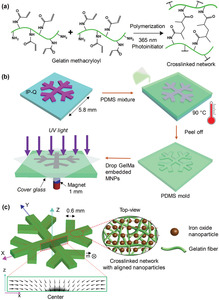 Biodegradable untethered magnetic hydrogel milli-grippers