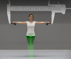 The Virtual Caliper: Rapid Creation of Metrically Accurate Avatars from {3D} Measurements